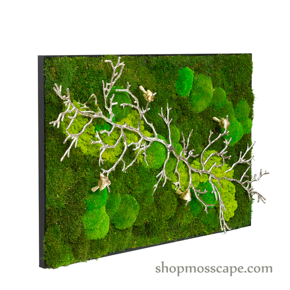 Rooted in Nature | Framed Moss Art (011)