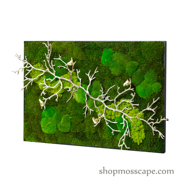 Rooted in Nature | Framed Moss Art (011)