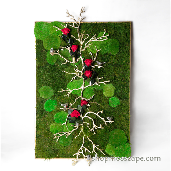 Upwards | Framed Moss Art (015)