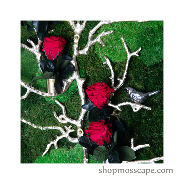 Upwards | Framed Moss Art (015)