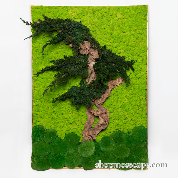 Tree of Courage | Framed Moss Art (016)