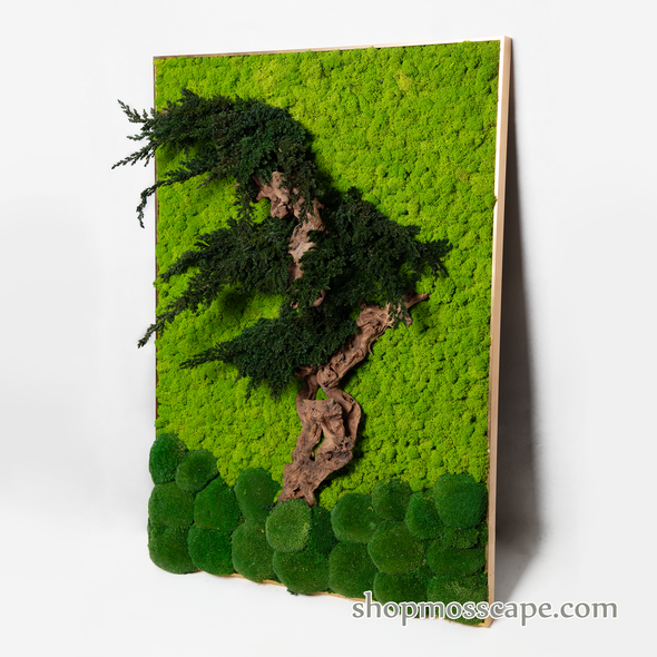 Tree of Courage | Framed Moss Art (016)