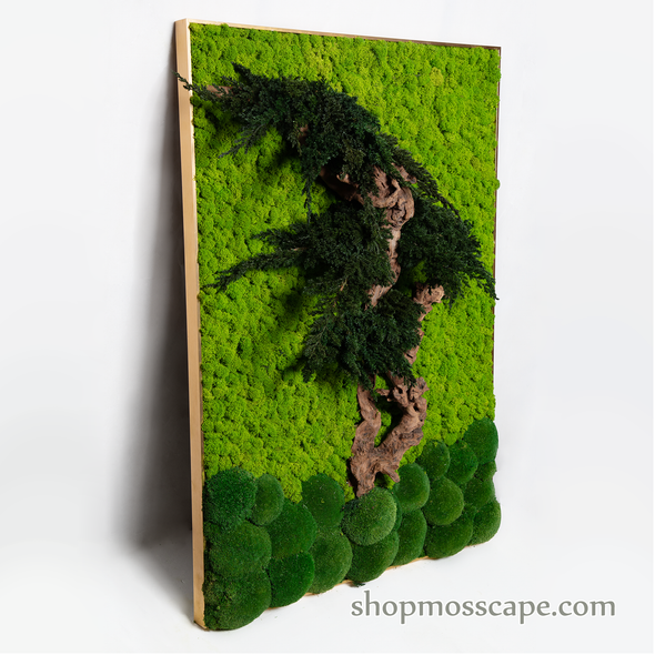 Tree of Courage | Framed Moss Art (016)