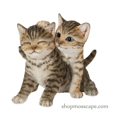 Playful Kittens