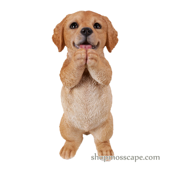 Praying Golden Retriever Puppy