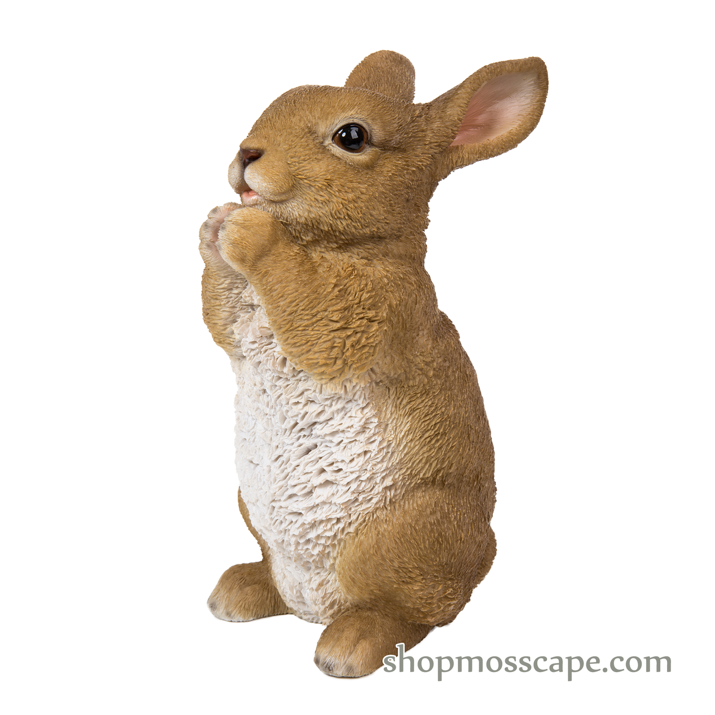 Praying Rabbit (Khaki) – shopmosscape