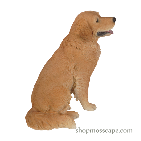 Sitting Golden Retriever