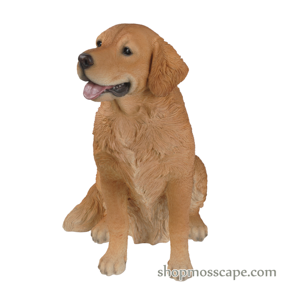 Sitting Golden Retriever