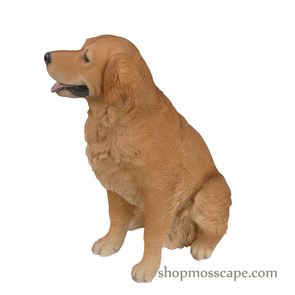 Sitting Golden Retriever