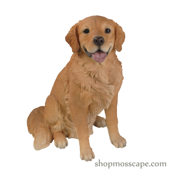 Sitting Golden Retriever