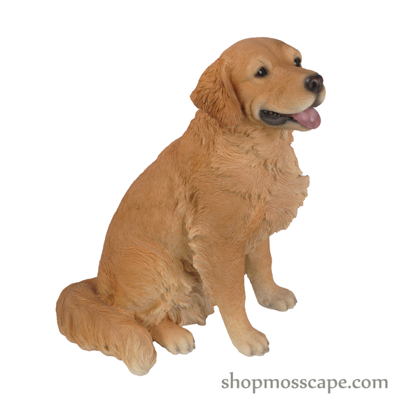 Sitting Golden Retriever