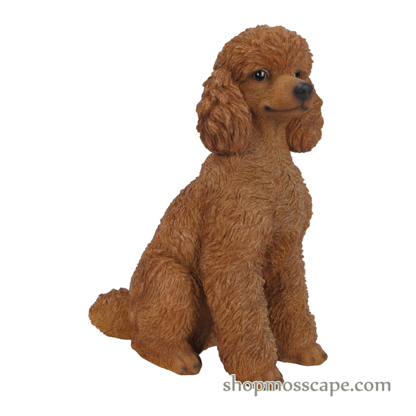 Sitting Poodle