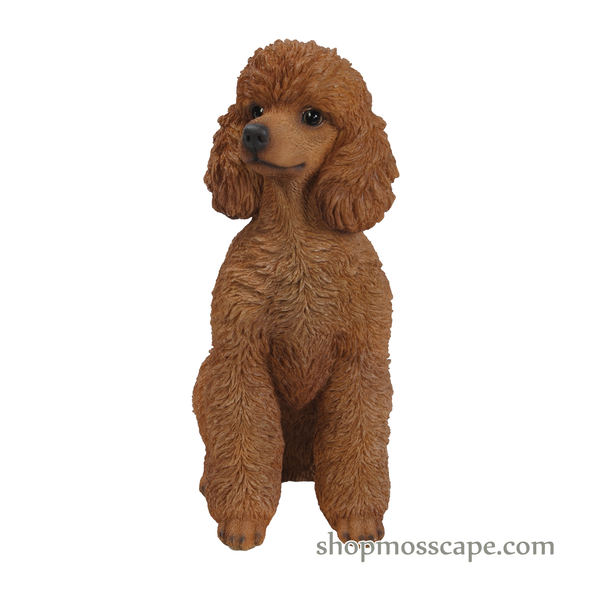 Sitting Poodle