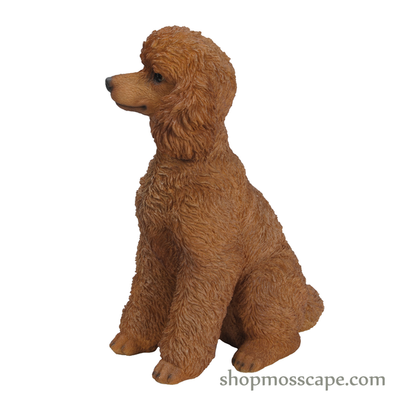 Sitting Poodle