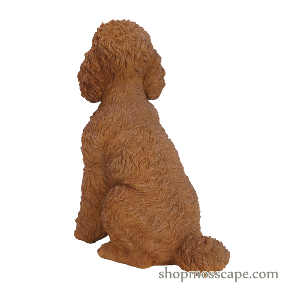 Sitting Poodle