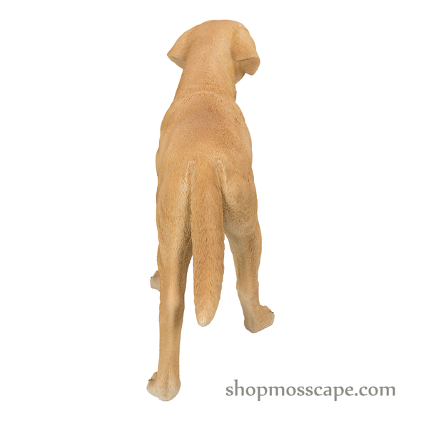 Standing Labrador