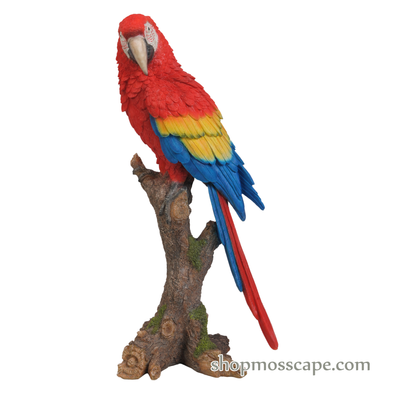 Scarlet Macaw on Stump