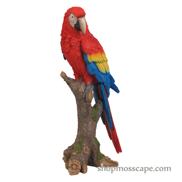 Scarlet Macaw on Stump