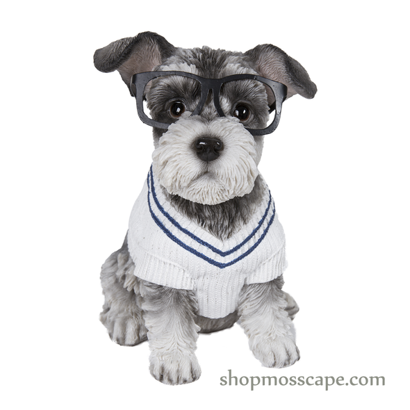 Sitting Schnauzer with iron glasses