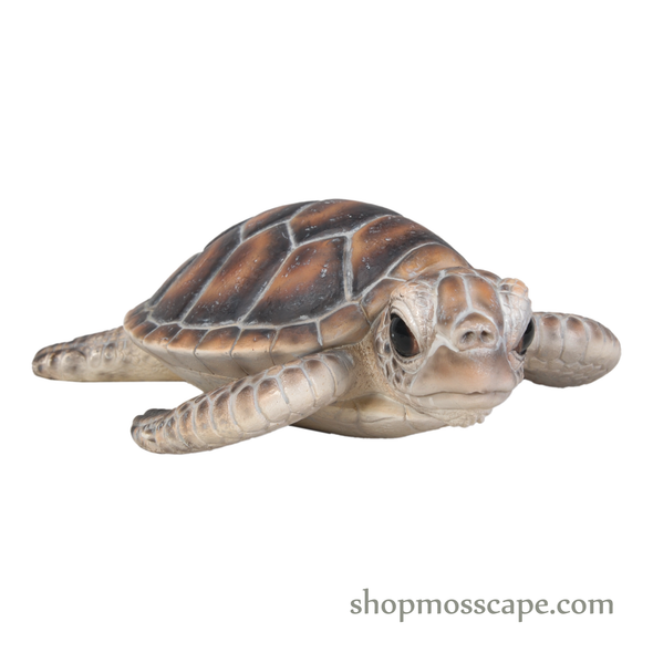 Sea Turtle (2 Sizes)
