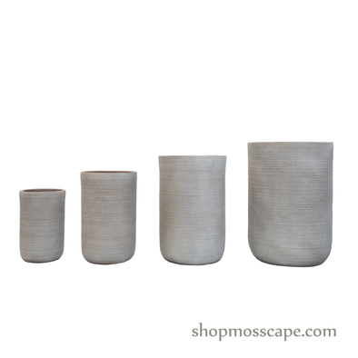Stripe Collection LC14459