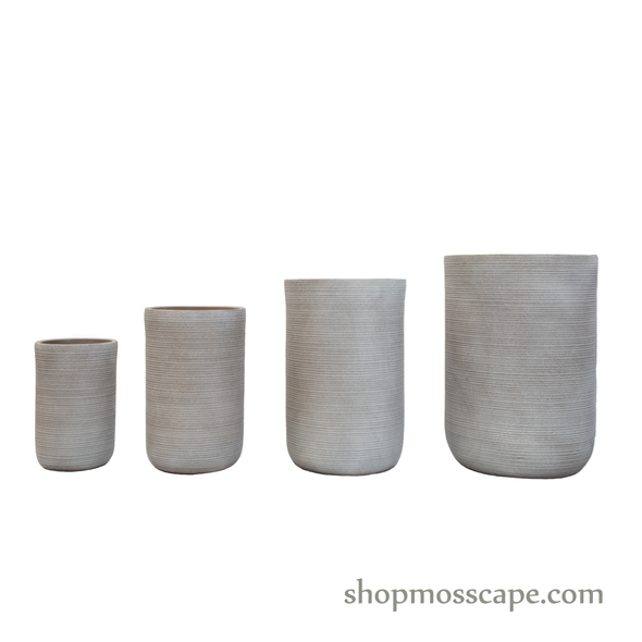 Stripe Collection LC14459