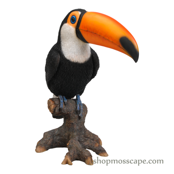 Toucan On Stump