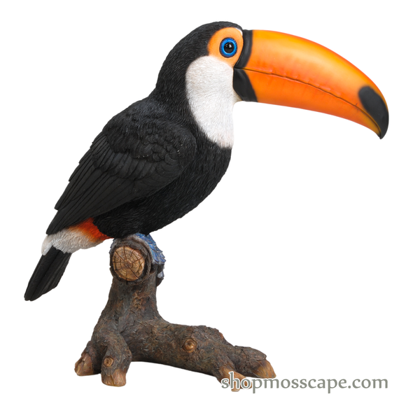 Toucan On Stump