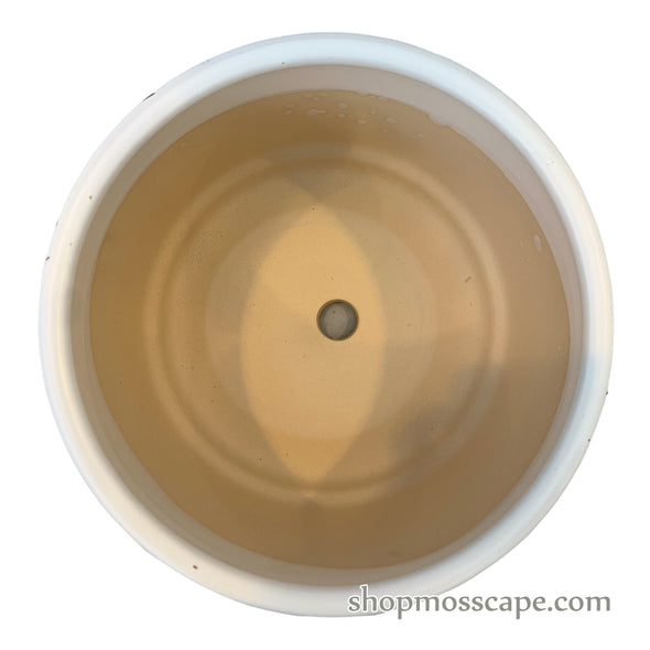 Gold Geometric Ceramic Pot (3 colours)