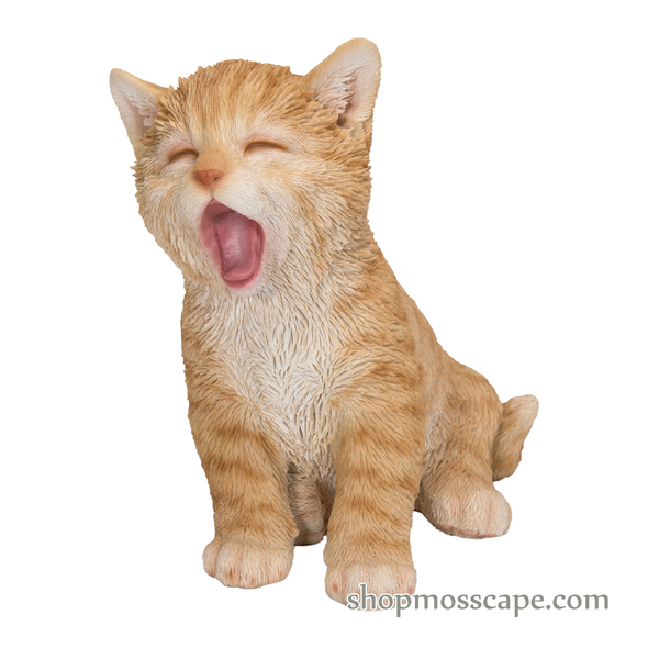 Yawning Cat