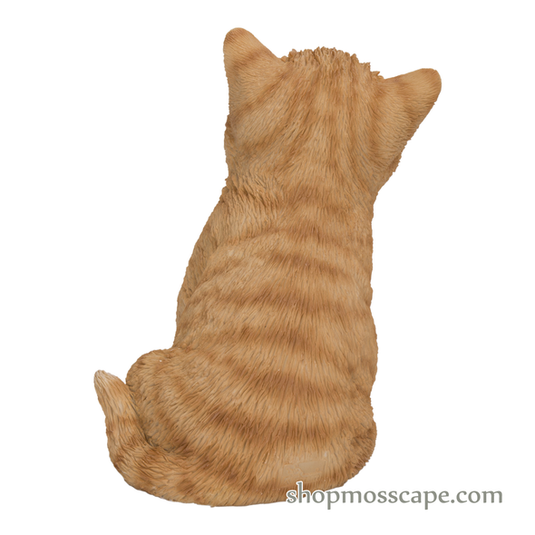 Yawning Cat