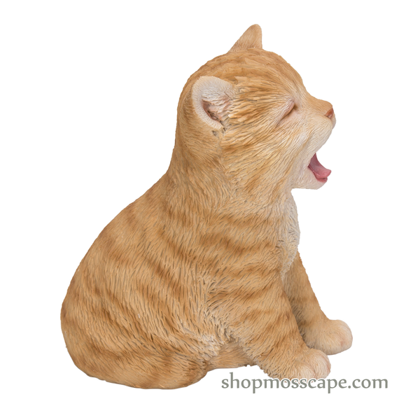 Yawning Cat