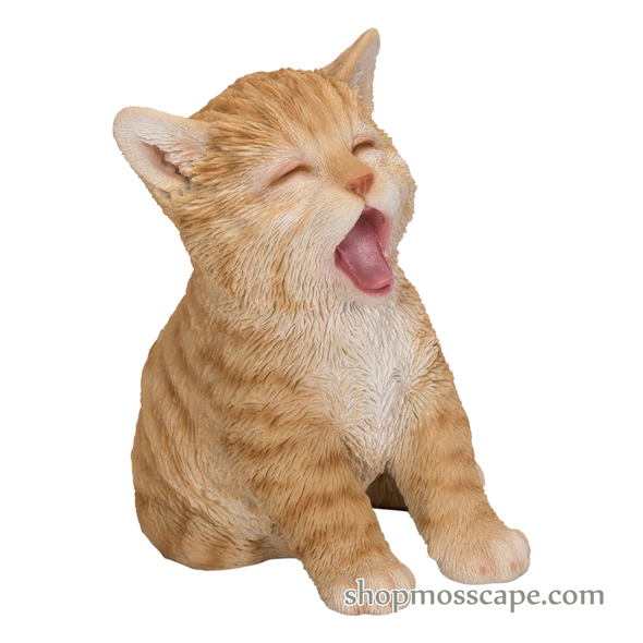 Yawning Cat